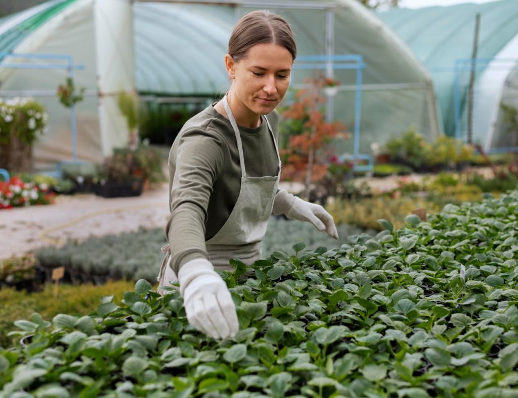 Impact environnemental réduit